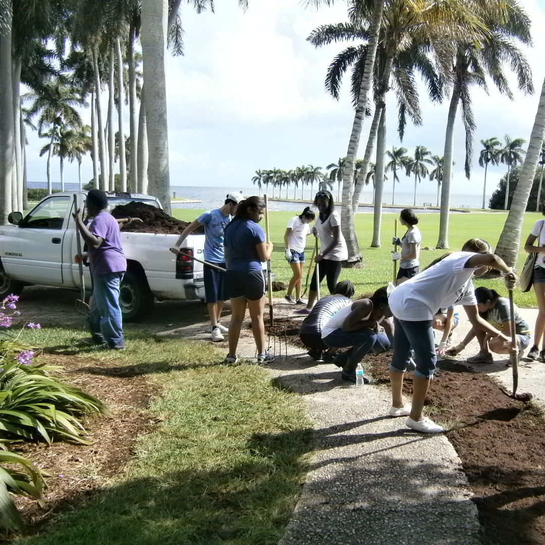 Community Action Day